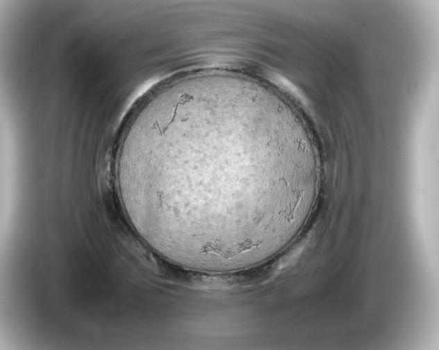 X0000086030875200704091130