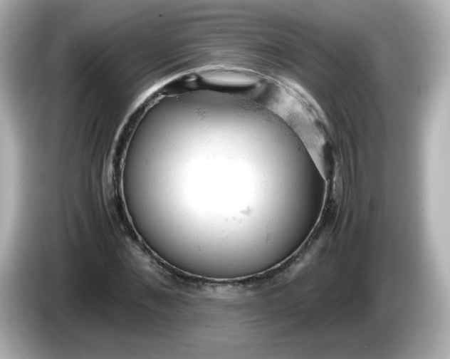 X0000086030876200704091130