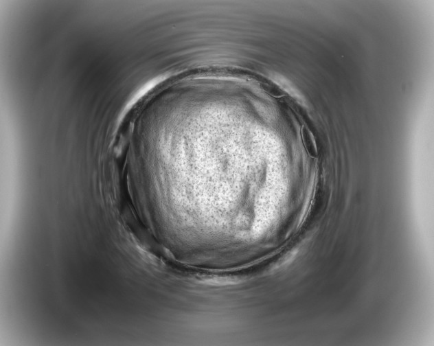 X0000086030877200704091130