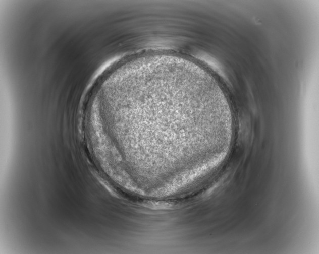 X0000086030878200704091130