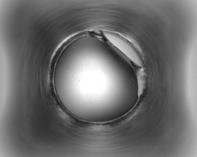 X0000086030880200704091130