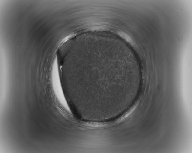 X0000086030881200704091130