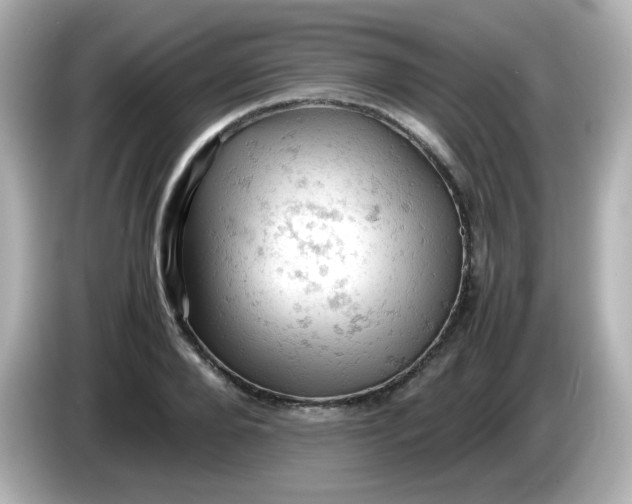 X0000086030888200704091130