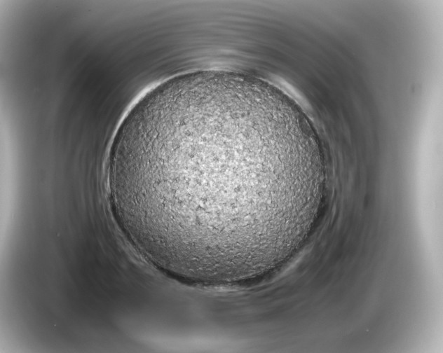 X0000086030891200704091130