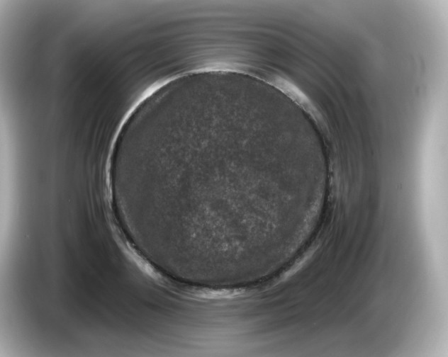 X0000086030892200704091130