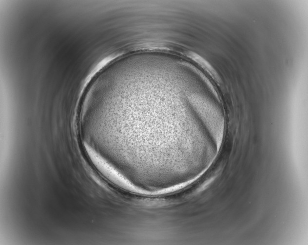 X0000086030893200704091130