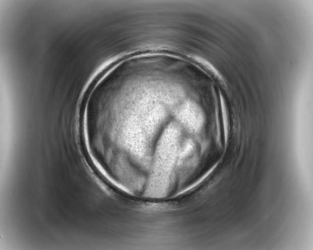 X0000086030894200704091130