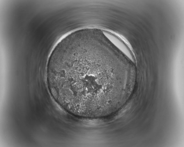 X0000086030895200704091130