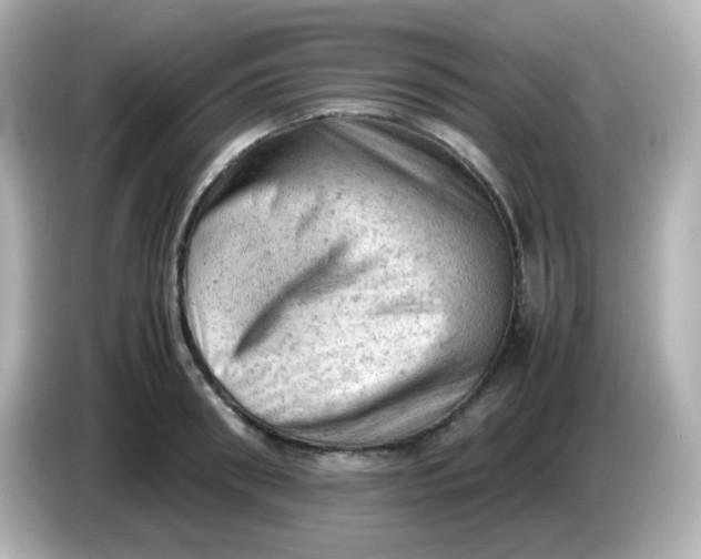 X0000086030898200704091130