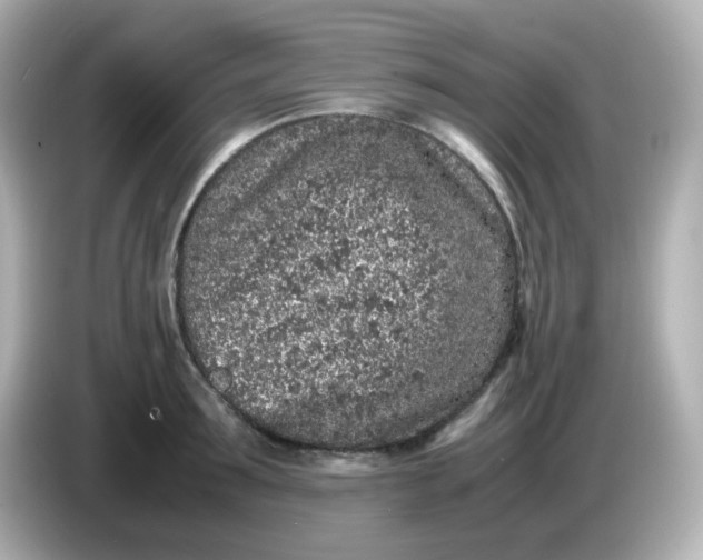 X0000086030899200704091130