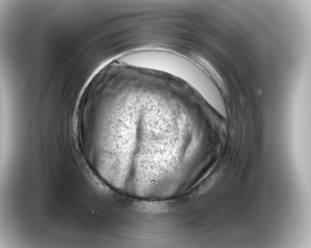 X0000086030900200704091130