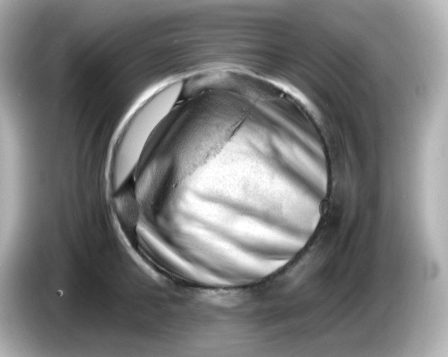 X0000086030902200704091130