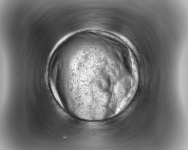 X0000086030904200704091130