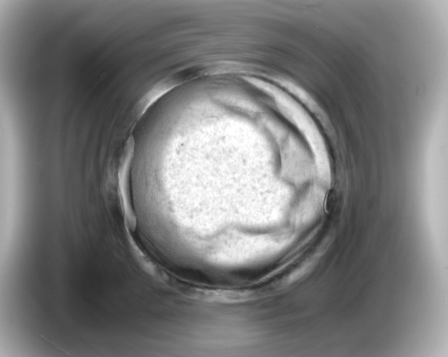 X0000086030905200704091130