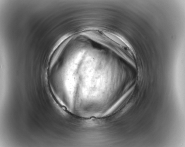 X0000086030906200704091130