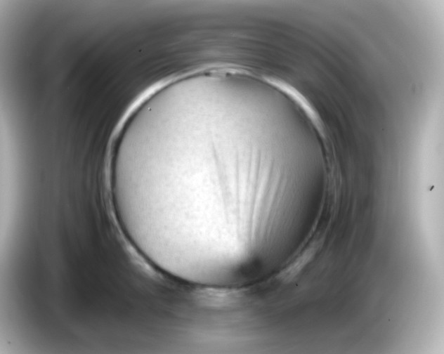 X0000086030910200704091130