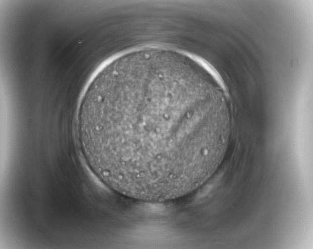 X0000086030911200704091130