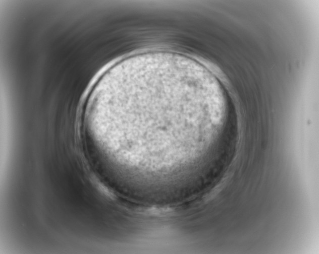 X0000086030912200704091130