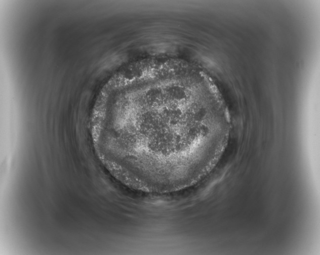 X0000086030913200704091129