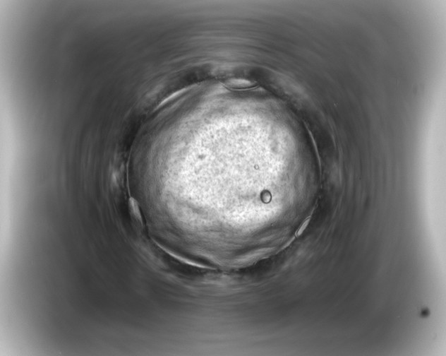 X0000086030914200704091129