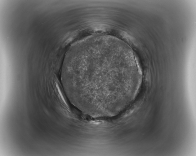 X0000086030916200704091129