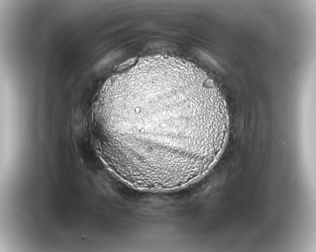 X0000086030917200704091129