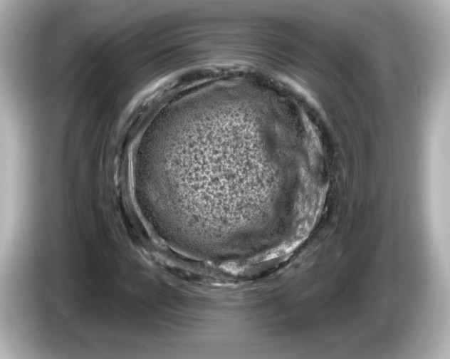 X0000086030920200704091129