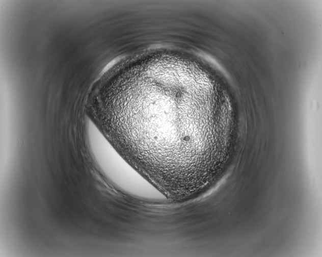 X0000086030921200704091129