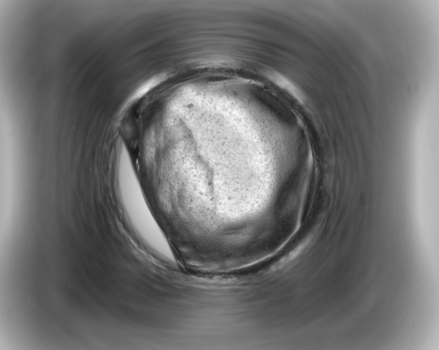 X0000086030922200704091129