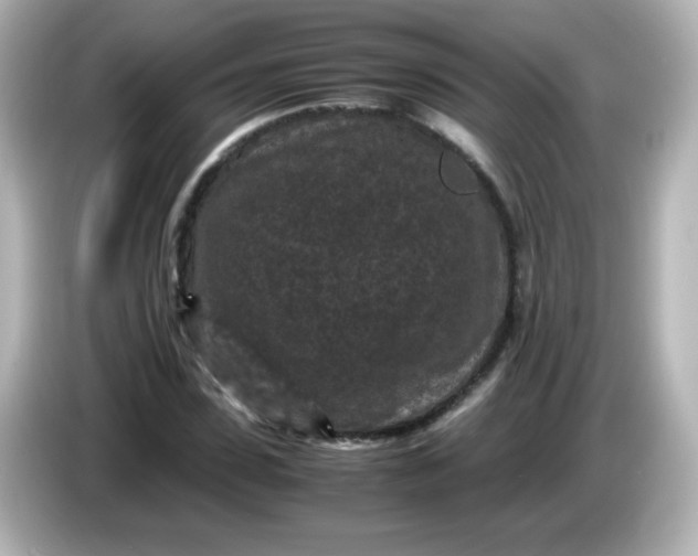 X0000086030923200704091129