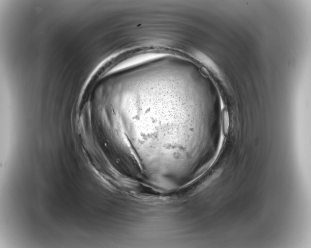 X0000086030924200704091129