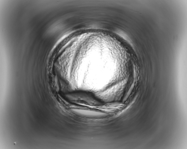 X0000086030925200704091129