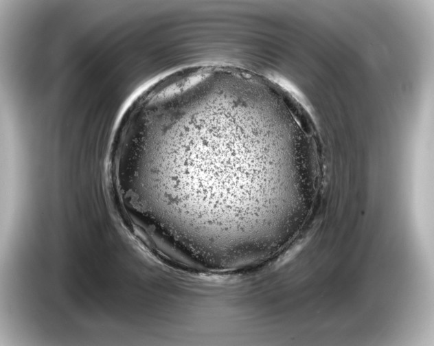 X0000086030928200704091129