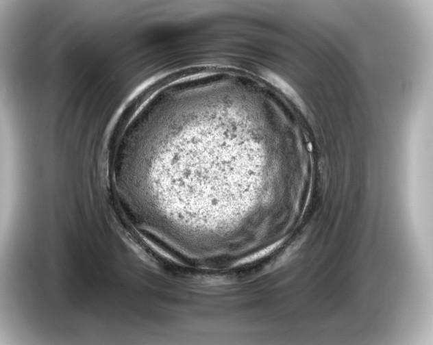 X0000086030931200704091129