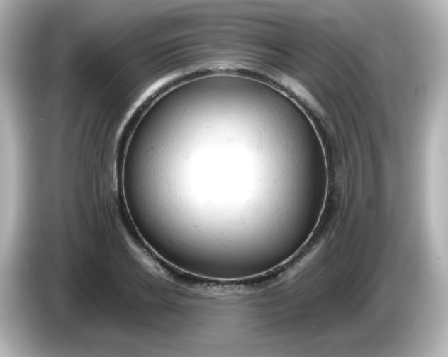 X0000086030934200704091130