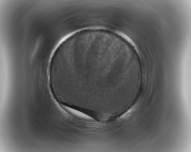 X0000086030935200704091130