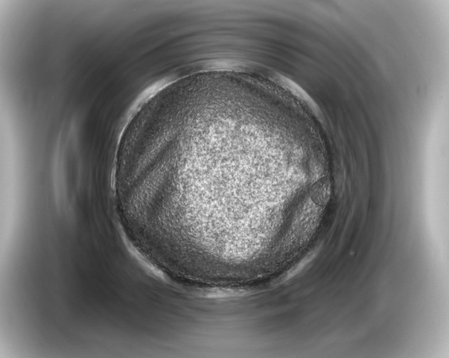 X0000086030938200704091130