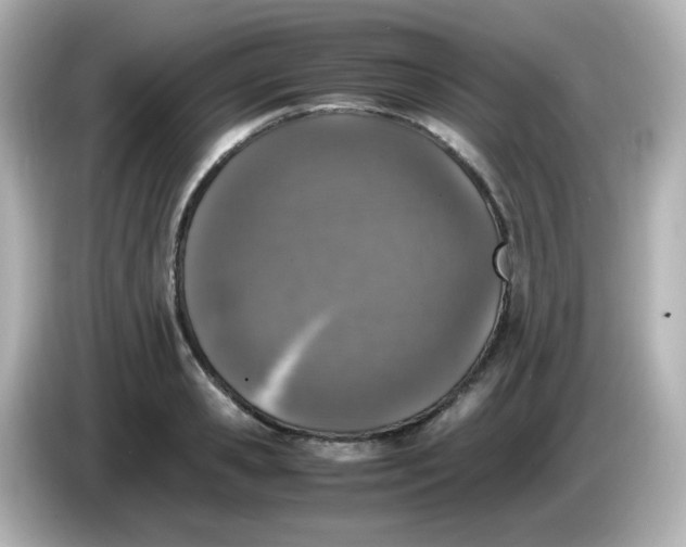 X0000086030941200704091130