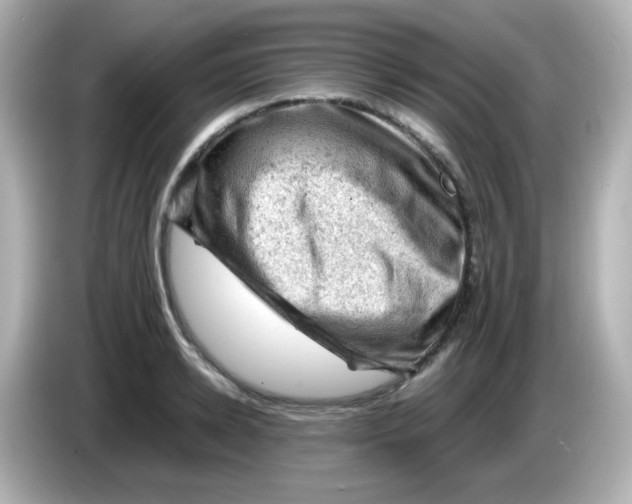 X0000086030942200704091130