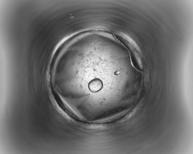 X0000086030944200704091130