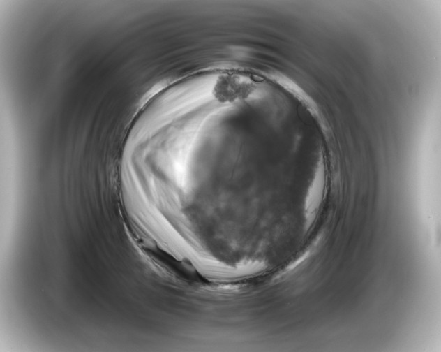 X0000086030945200704091130