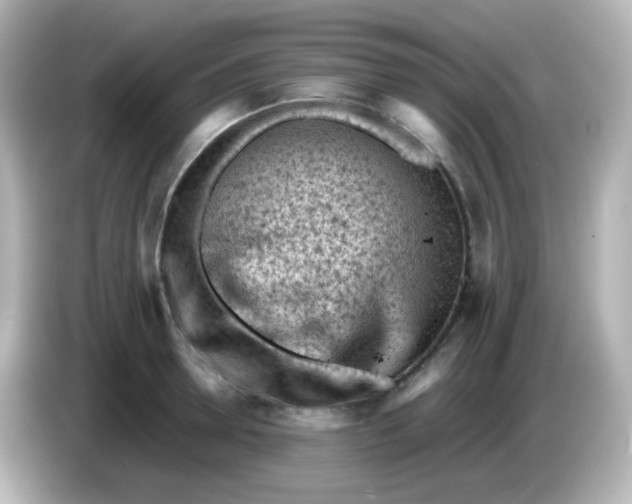 X0000086030946200704091130