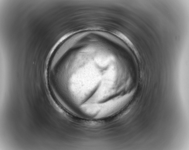 X0000086030947200704091130