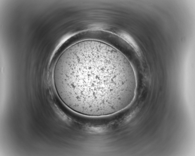 X0000086030948200704091130