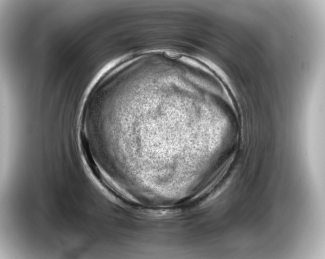 X0000086030949200704091130