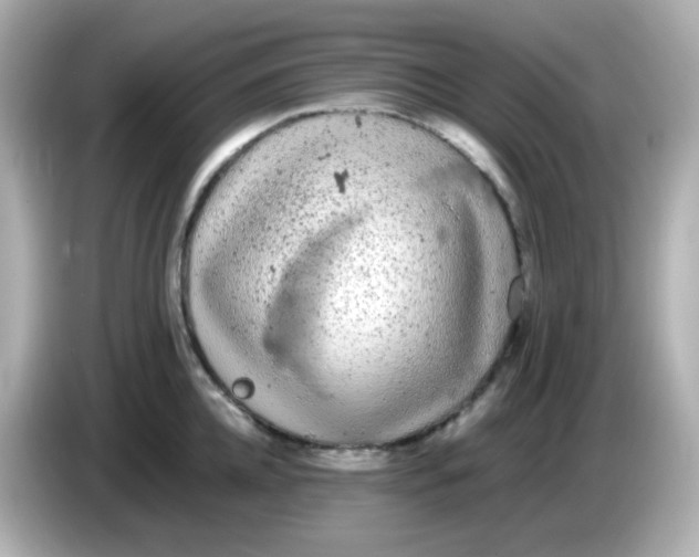 X0000086030952200704091130