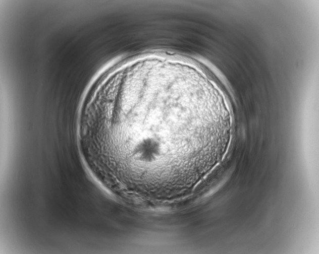 X0000086030957200704091130