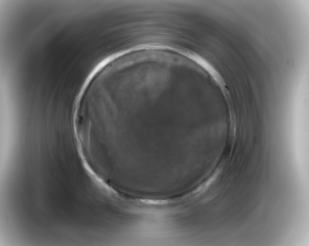 X0000086030958200704091130