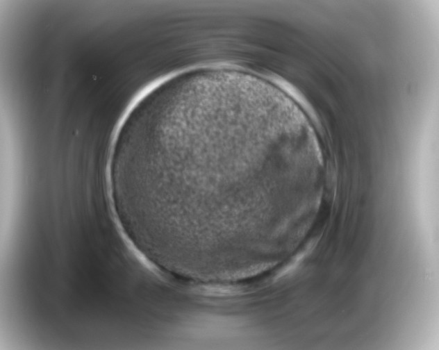 X0000086030959200704091130