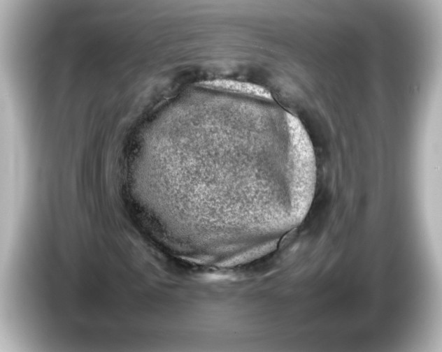 X0000086030961200704091129